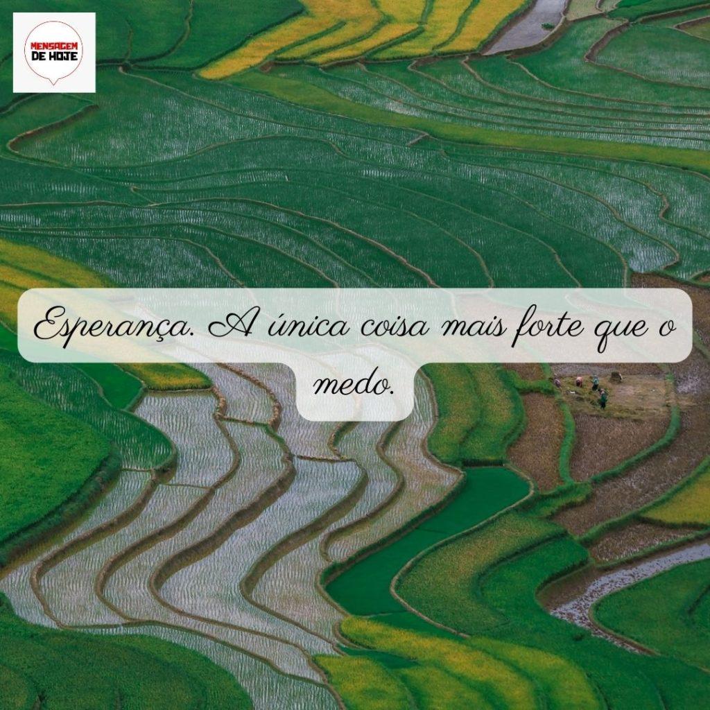 Pensamentos 02 de Junho de 2022 5