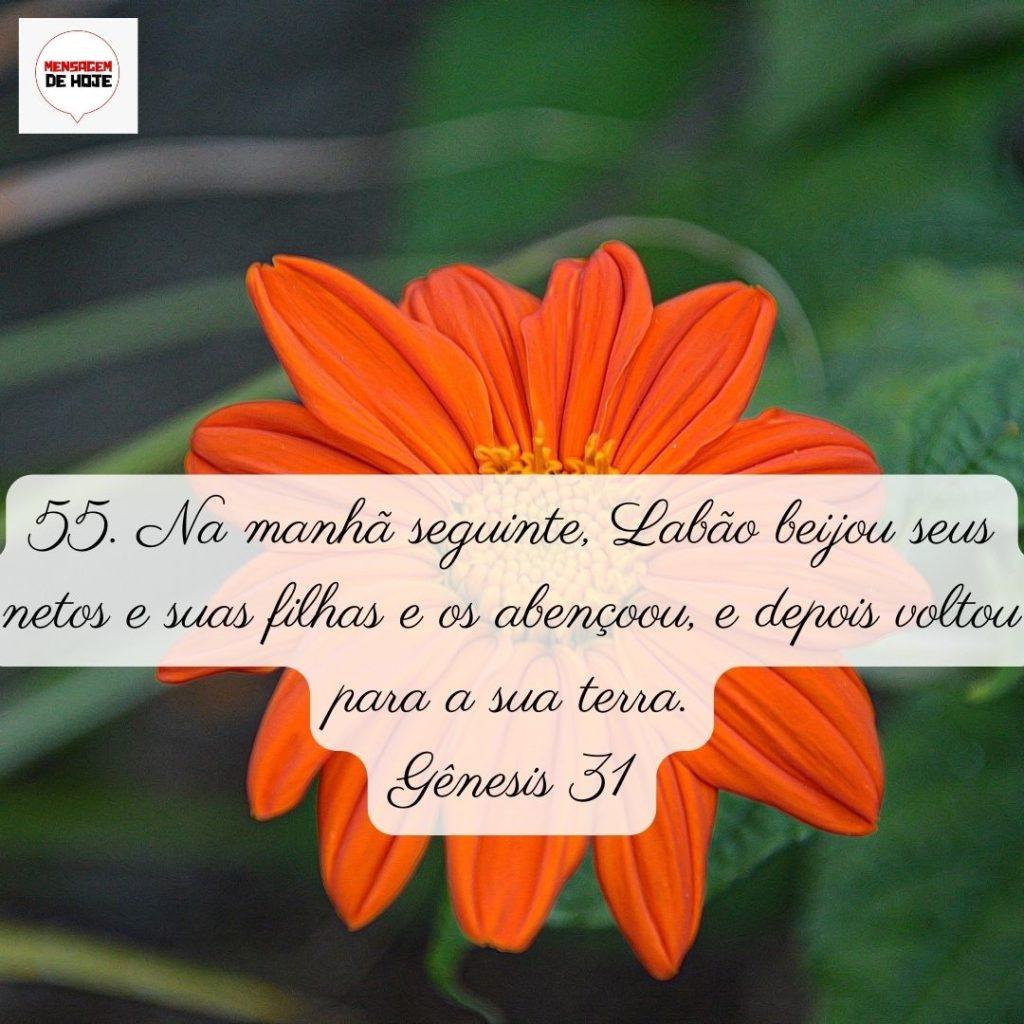 Salmos 03 de Junho de 2022 5