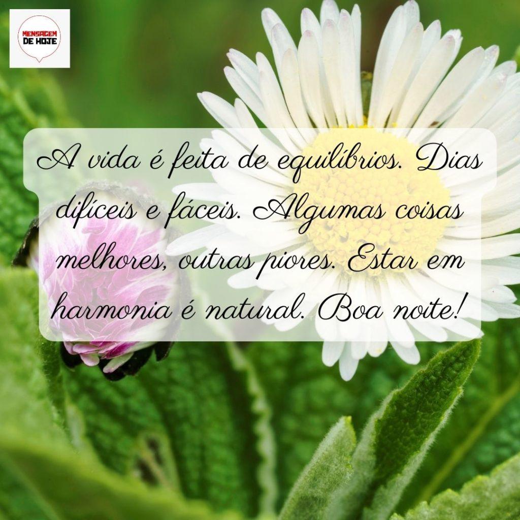 Boa Noite 05 de Junho de 2022 9
