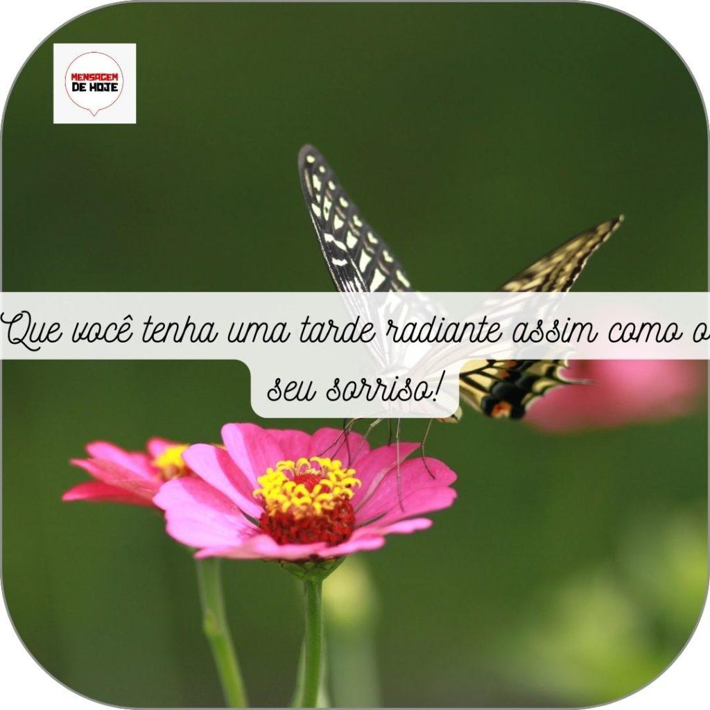 Boa Tarde 08 de Maio de 2022 15