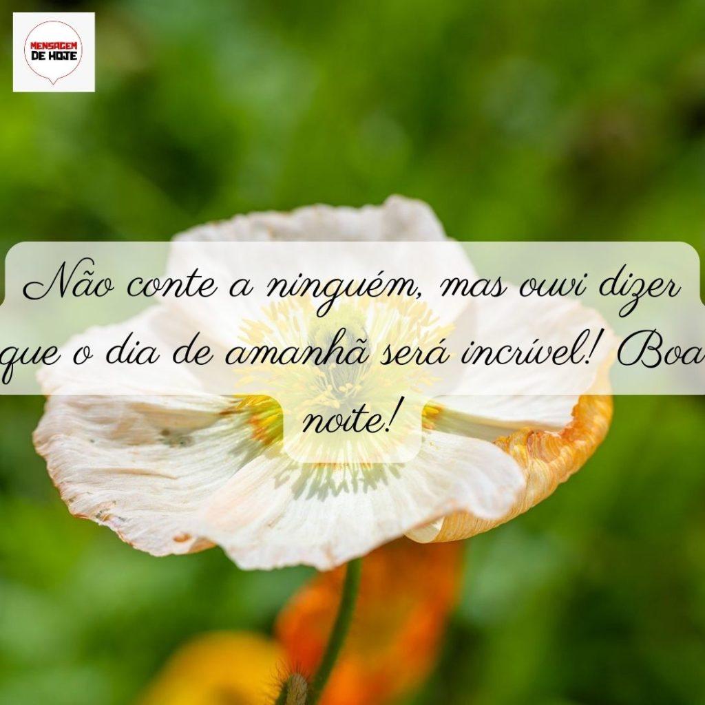 Boa Noite 05 de Junho de 2022 17