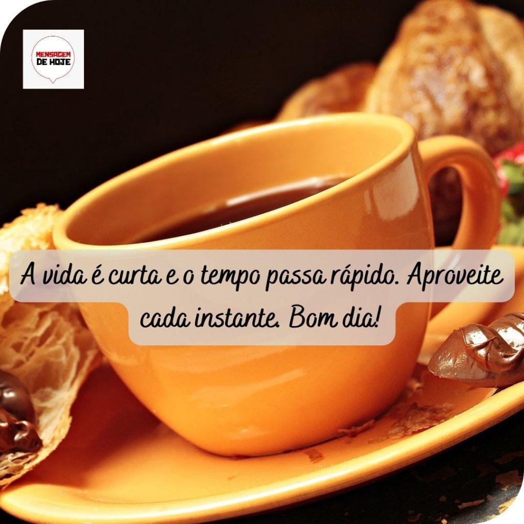 Bom Dia 17 de Maio de 2022 11