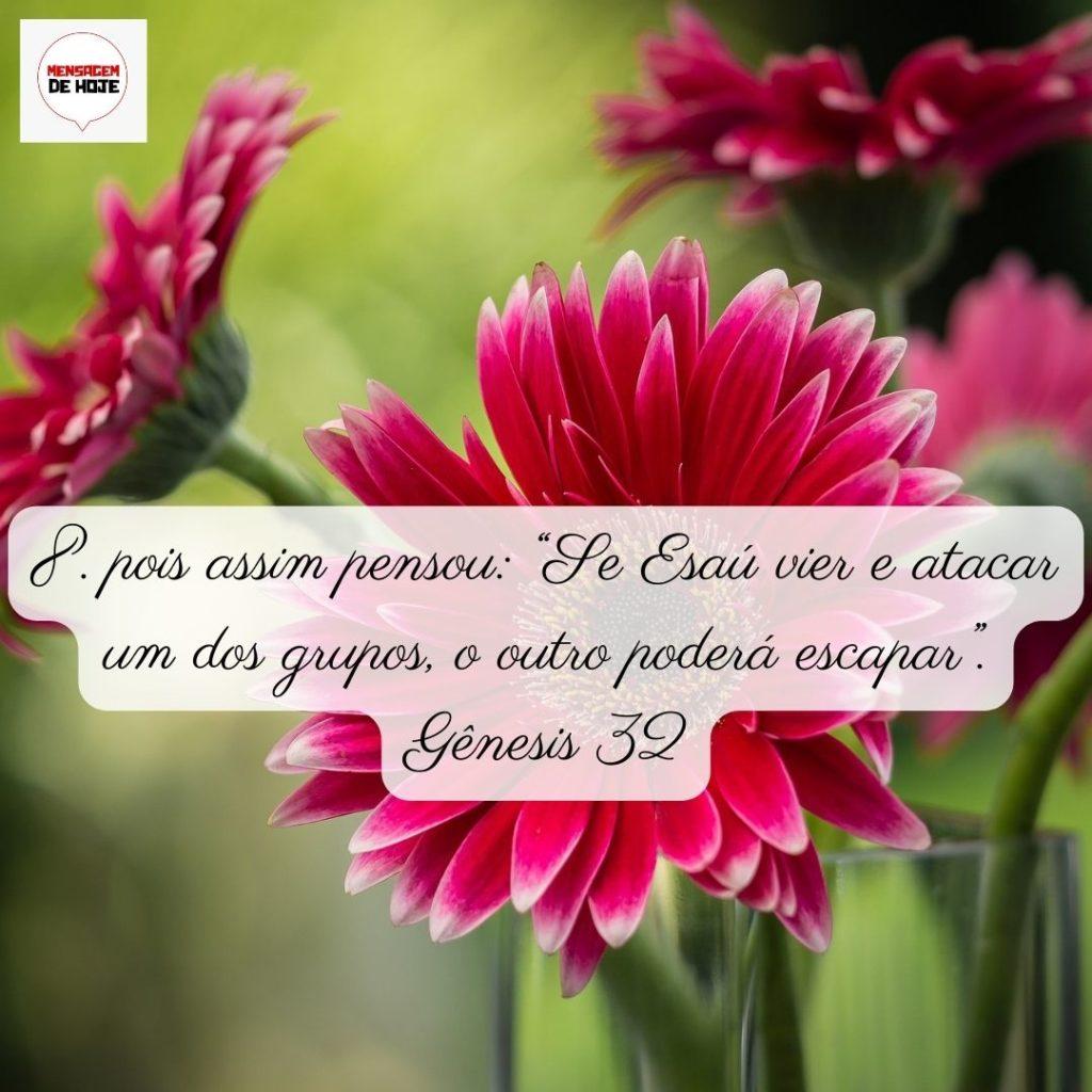 Salmos 02 de Junho de 2022 1