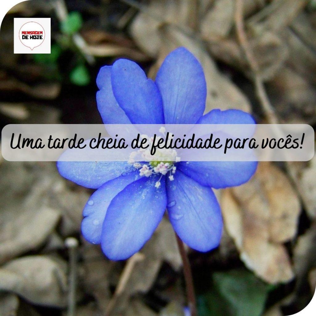 Boa Tarde 19 de Maio de 2022 5