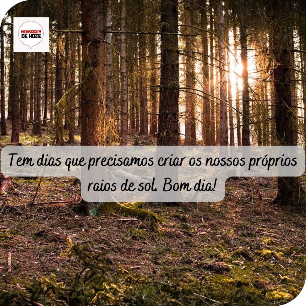 Bom Dia 13 de Maio de 2022 11