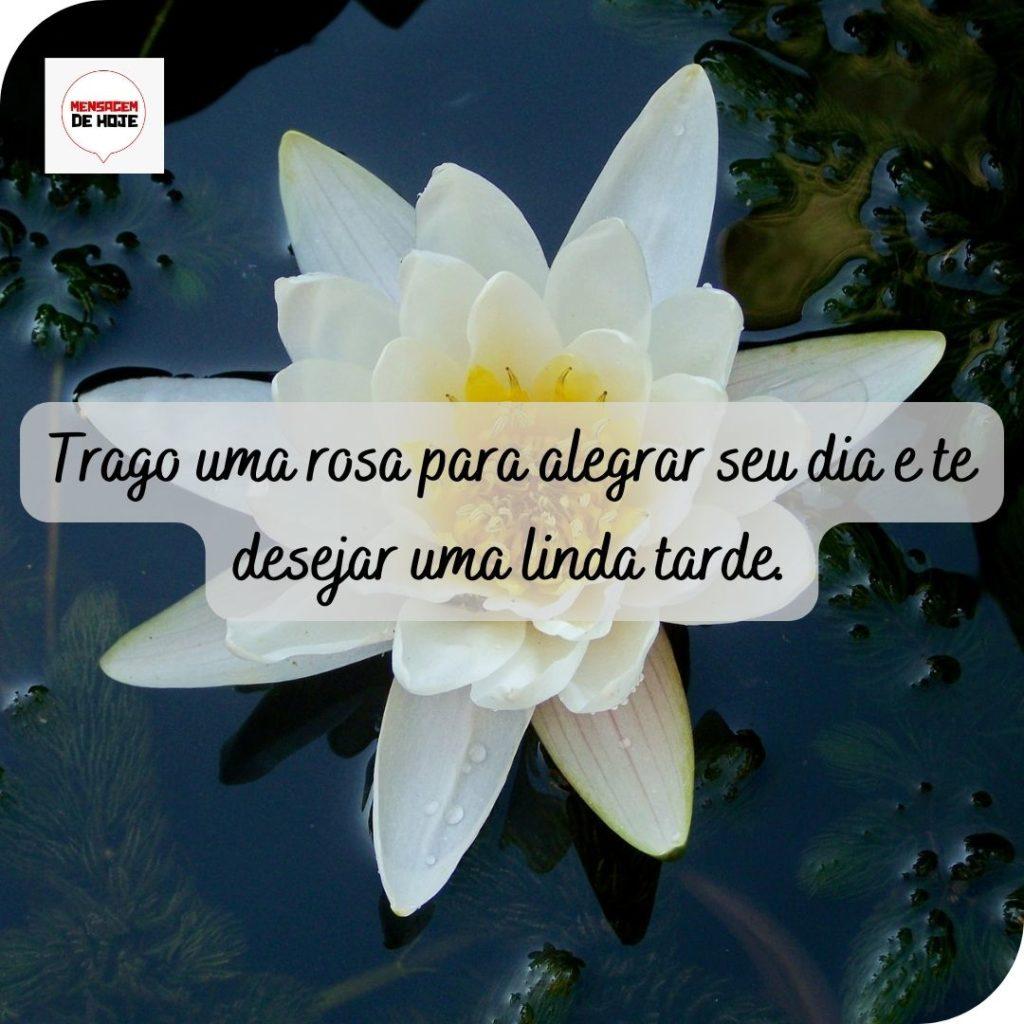 Boa Tarde 19 de Maio de 2022 17