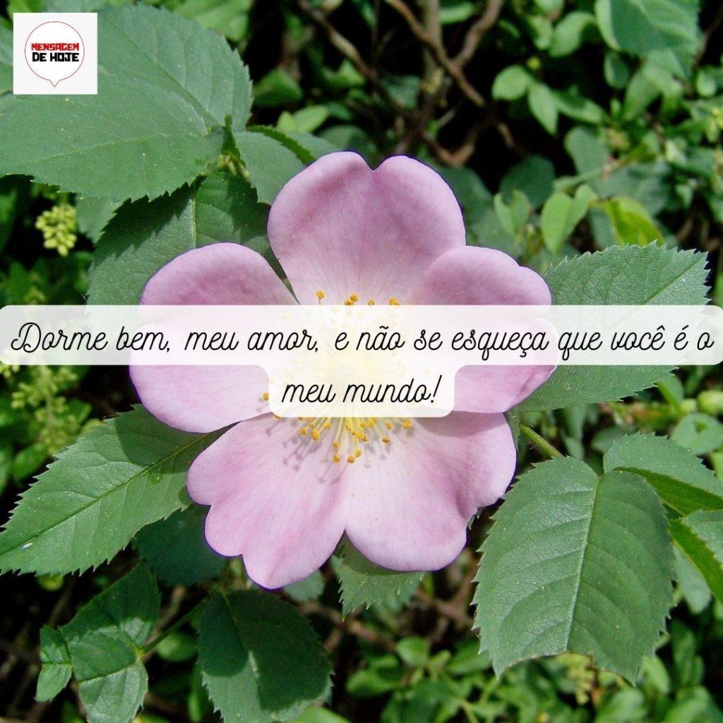 Boa Noite 11 de Maio de 2022 13