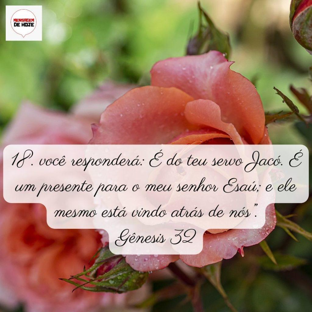 Salmos 01 de Junho de 2022 1