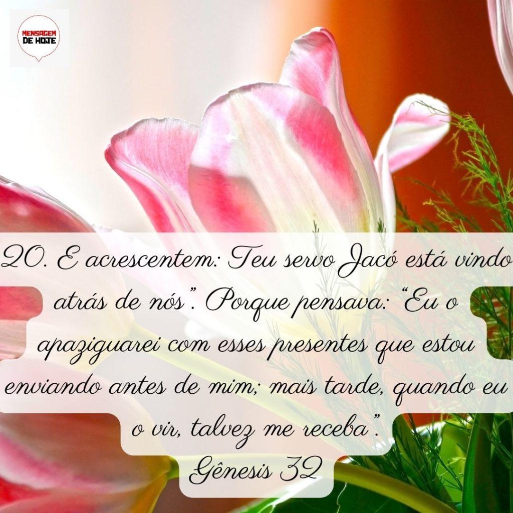 Salmos 01 de Junho de 2022 5