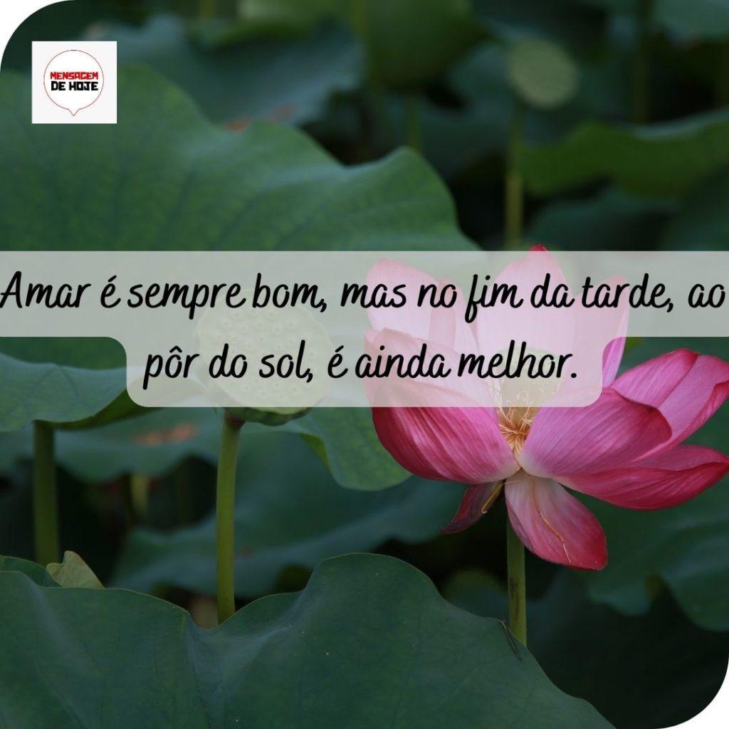 Boa Tarde 20 de Maio de 2022 5