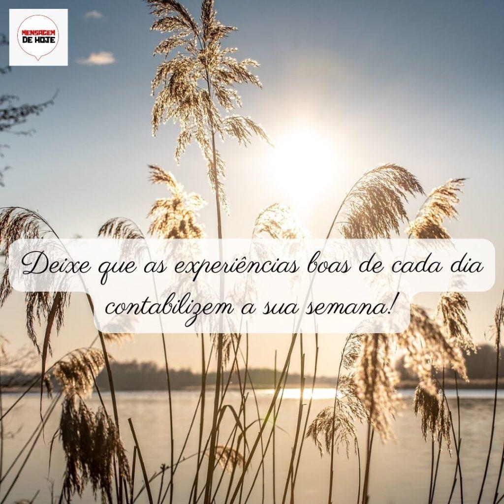 Bom Dia 01 de Junho de 2022 9