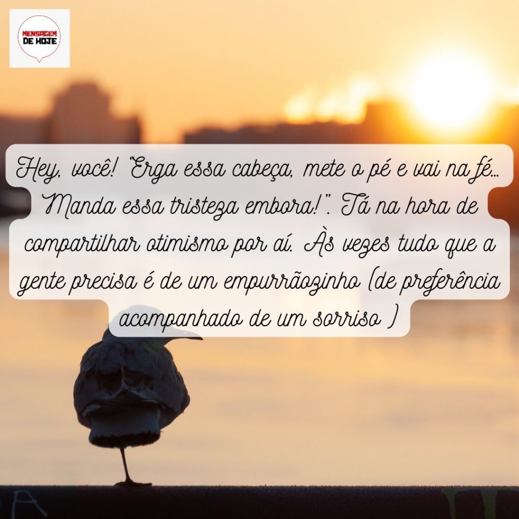 Boa Tarde 25 de Maio de 2022 9