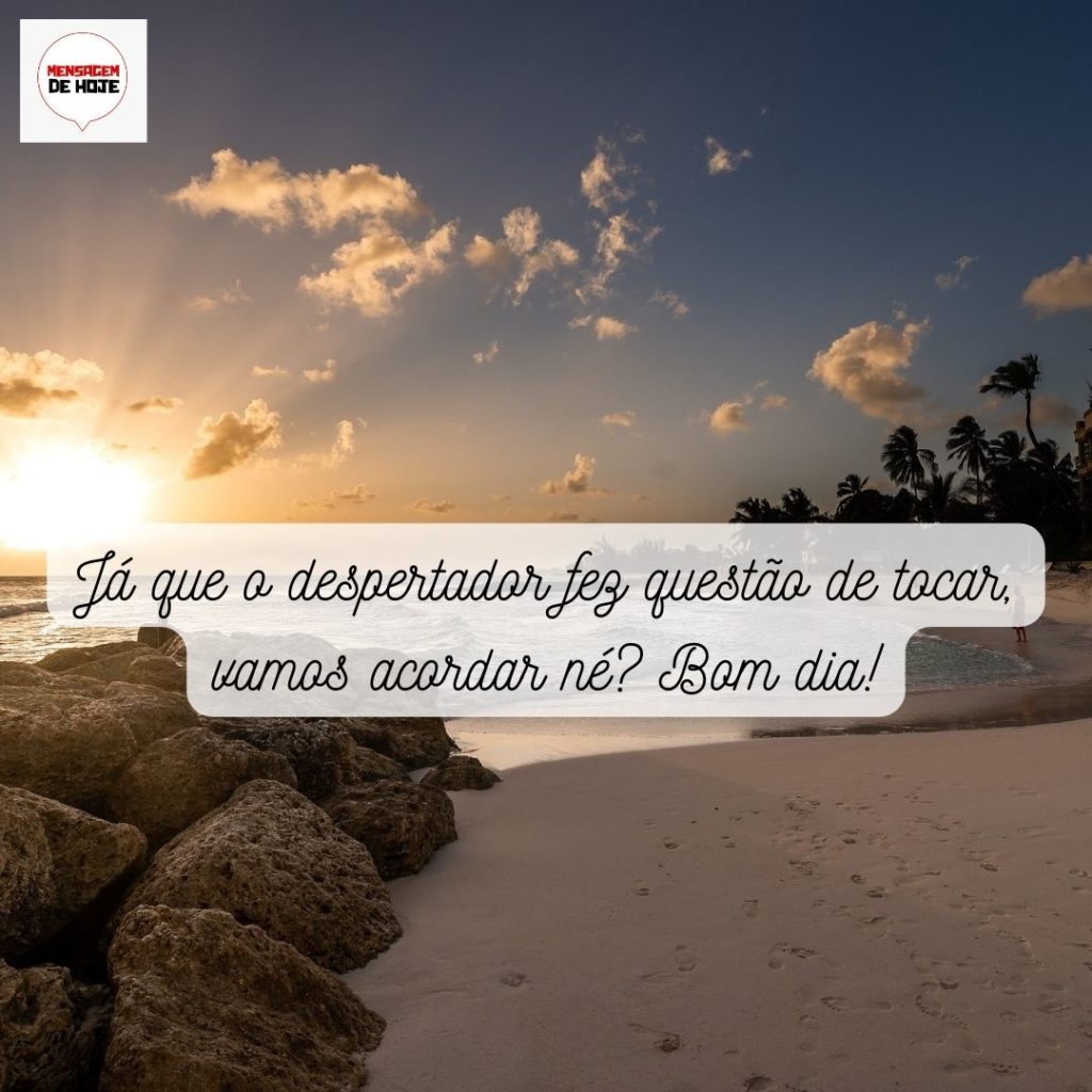Bom Dia 24 de Maio de 2022 17