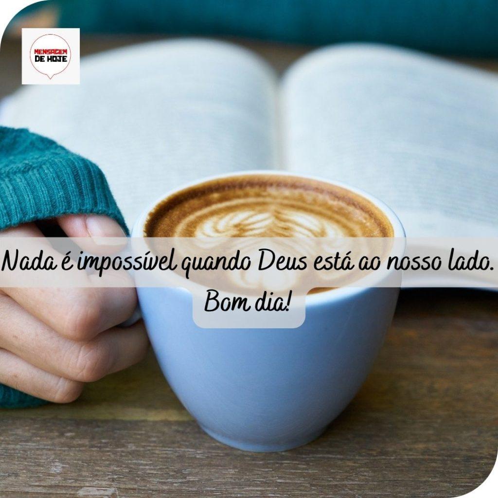 Bom Dia 17 de Maio de 2022 15