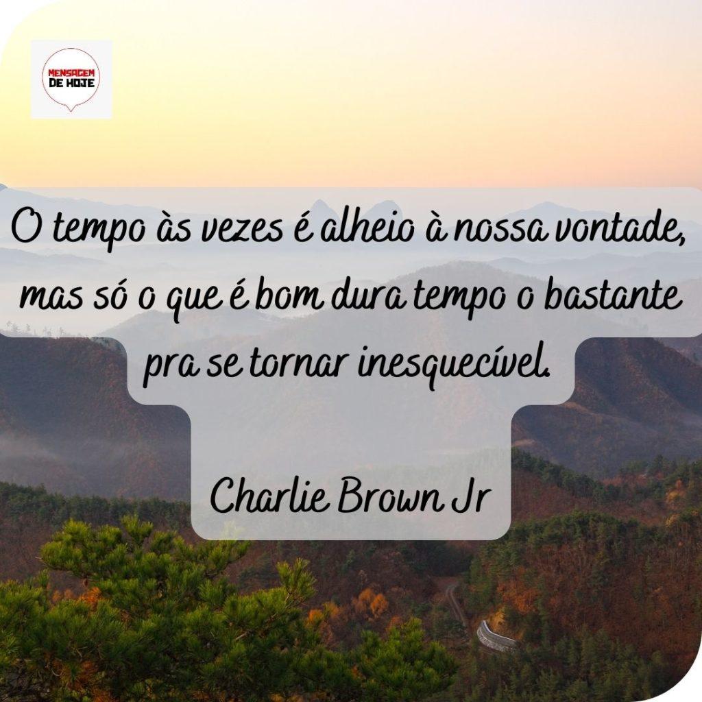 Boa Tarde 20 de Maio de 2022 19