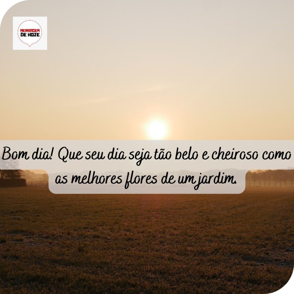 Bom Dia 11 de Maio de 2022 11
