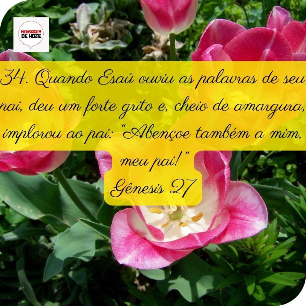 Salmos 17 de Maio de 2022 11