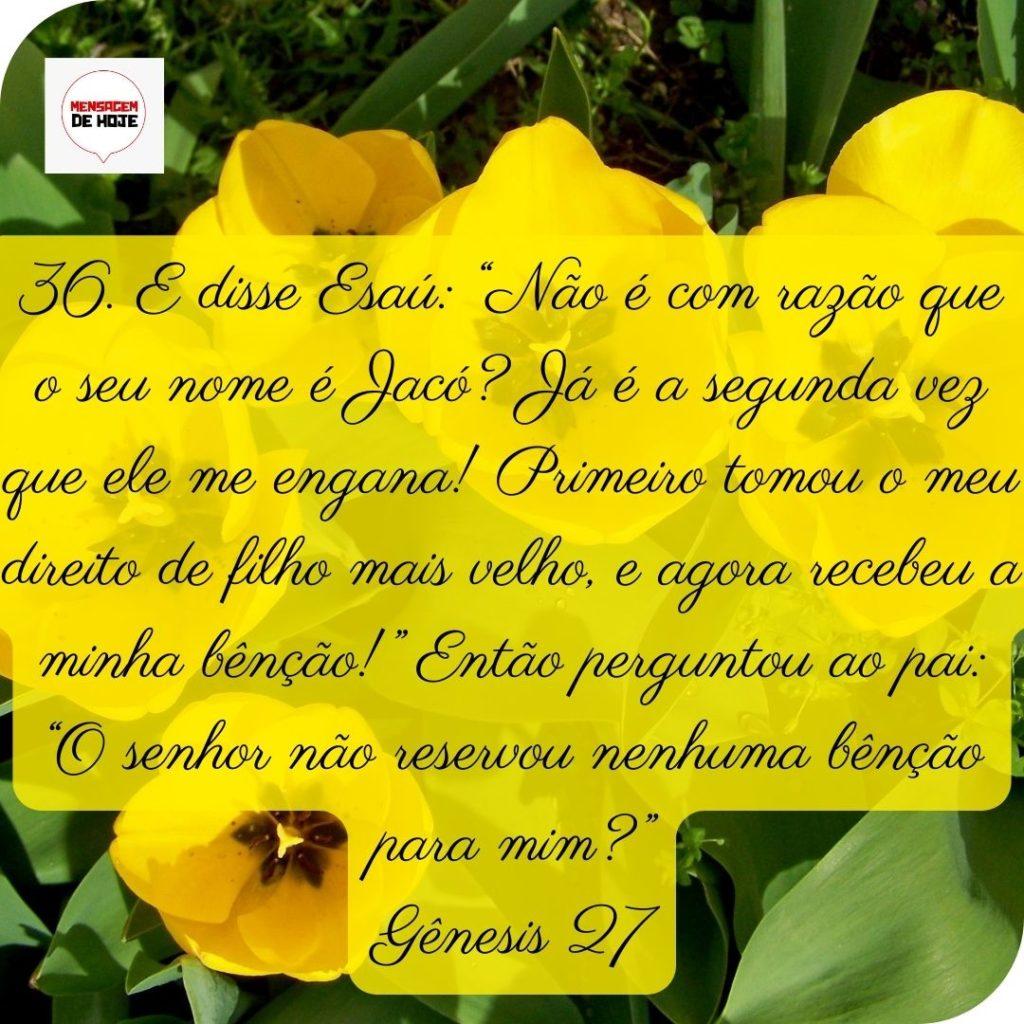 Salmos 17 de Maio de 2022 15