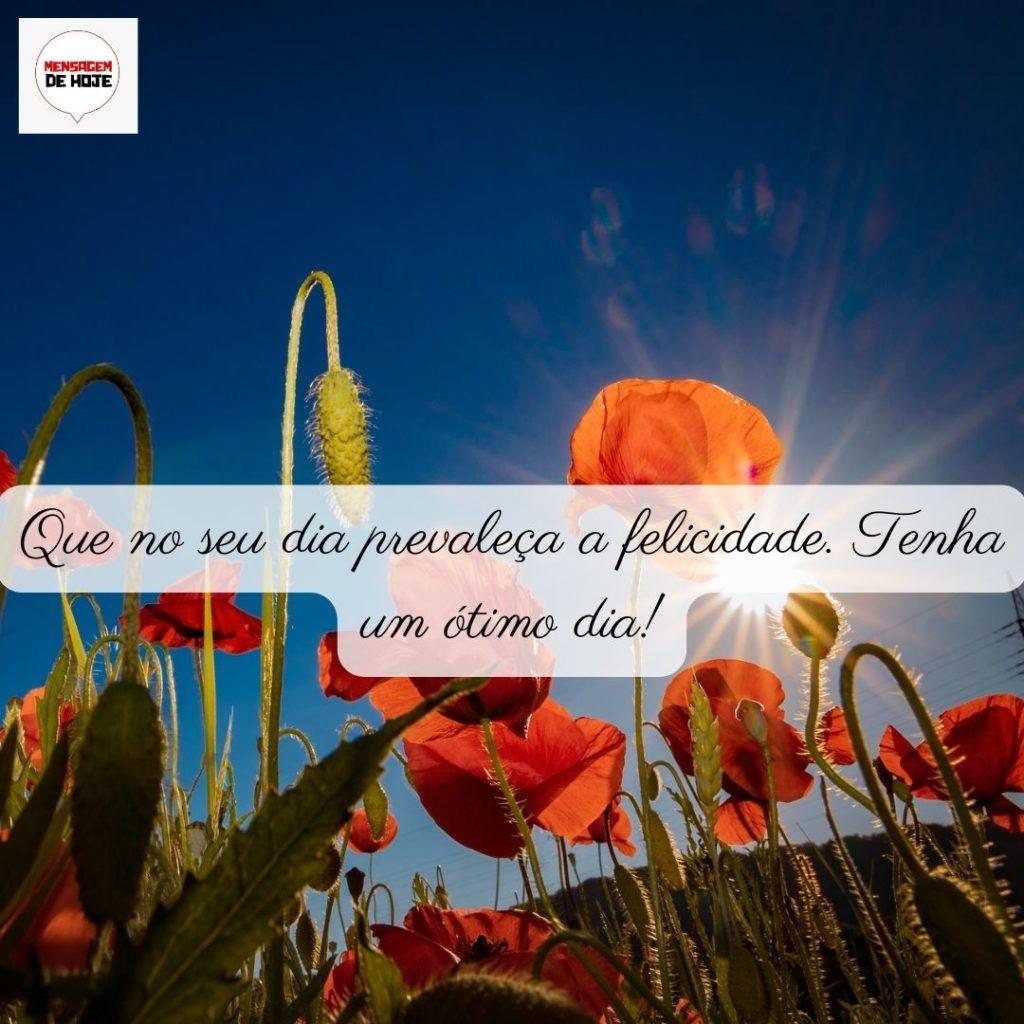 Bom Dia 26 de Maio de 2022 17