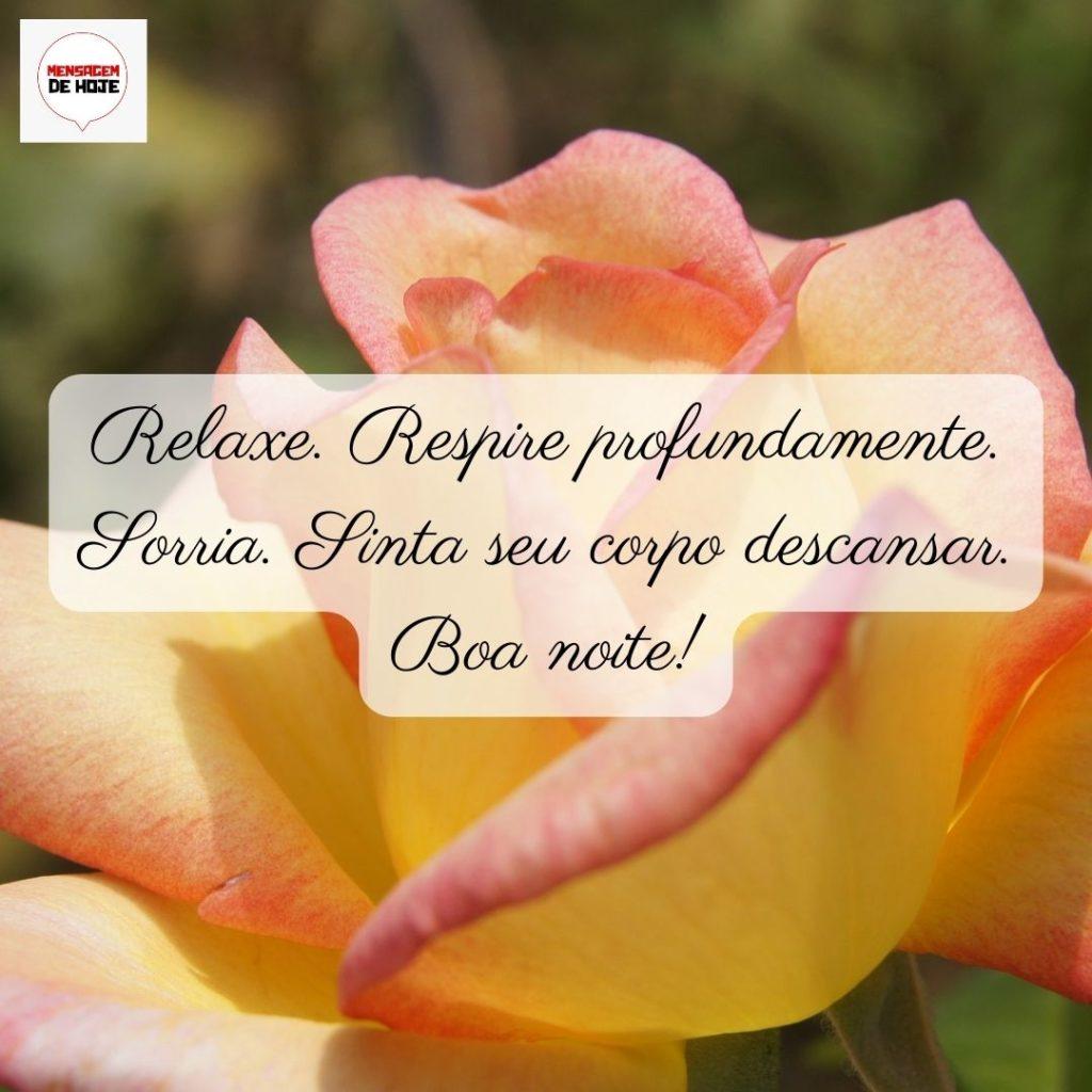 Boa Noite 31 de Maio de 2022 17