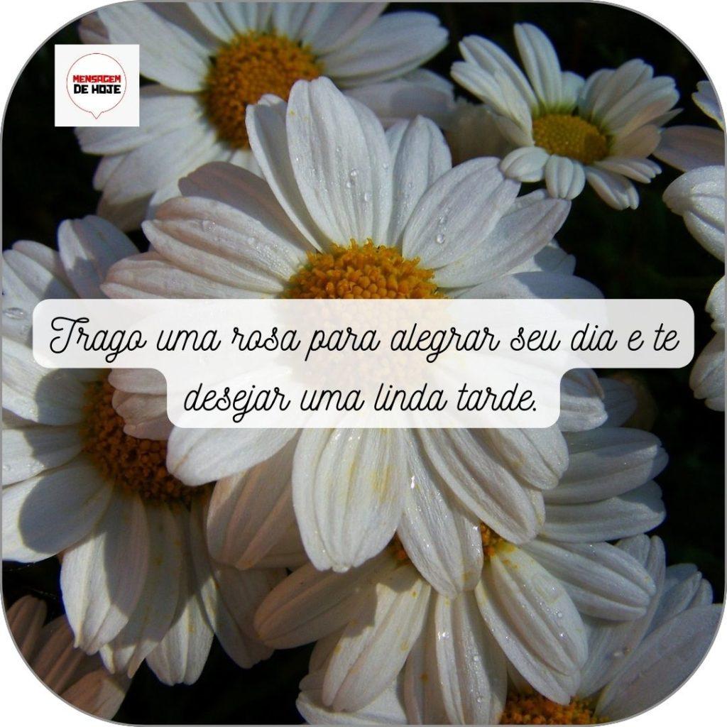 Boa Tarde 11 de Maio de 2022 19