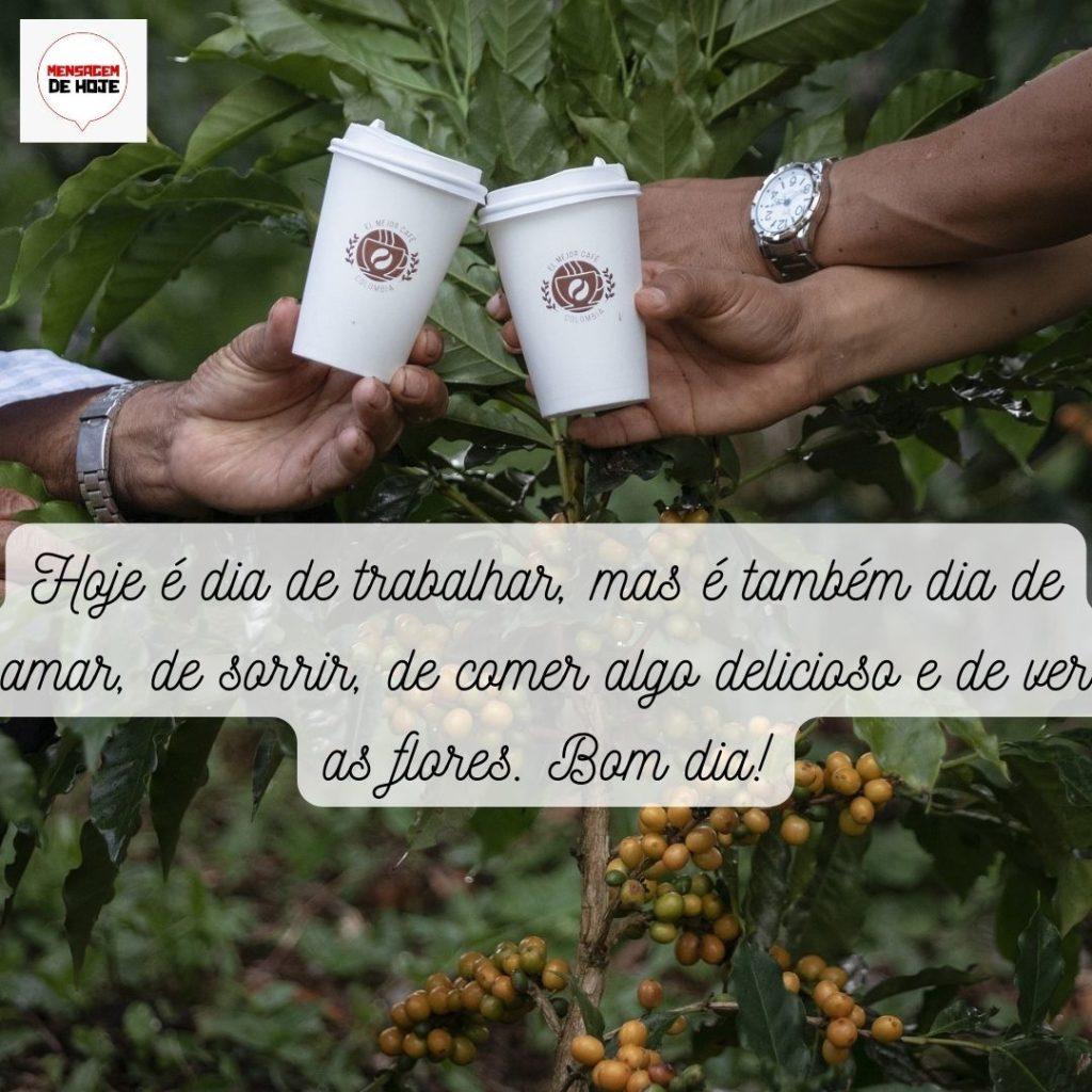 Bom Dia 25 de Maio de 2022 19