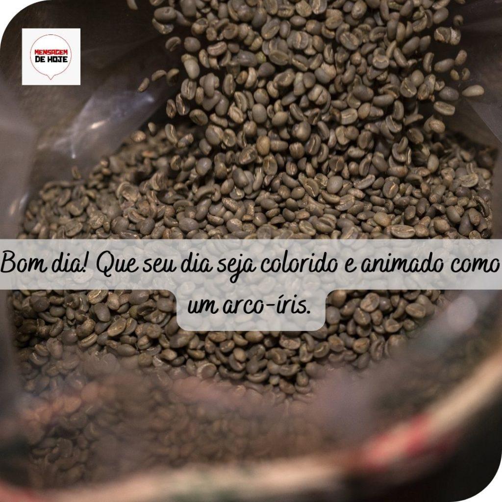 Bom Dia 10 de Maio de 2022 1