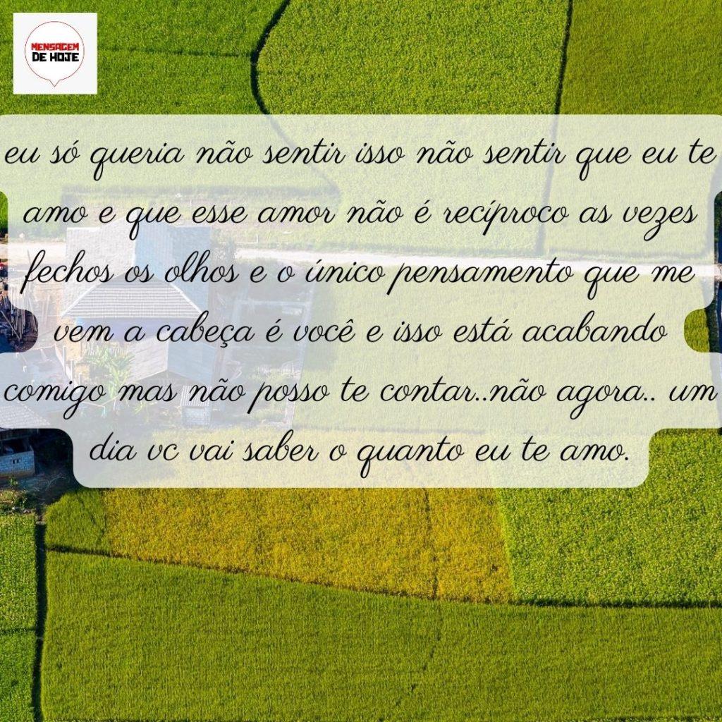Pensamentos 28 de Maio de 2022 1