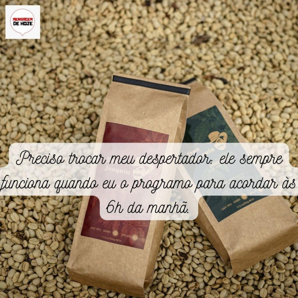 Bom Dia 16 de Maio de 2022 3