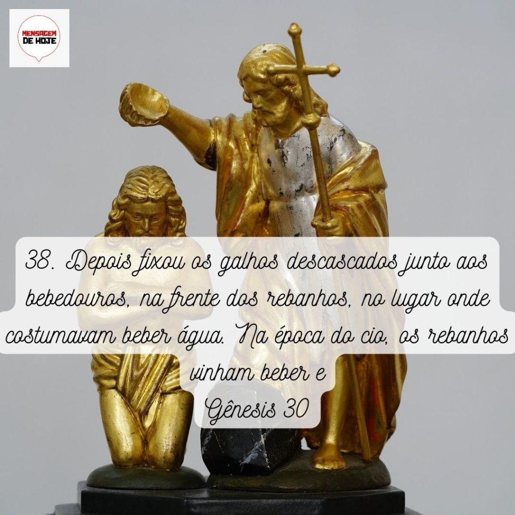 Salmos 29 de Maio de 2022 5