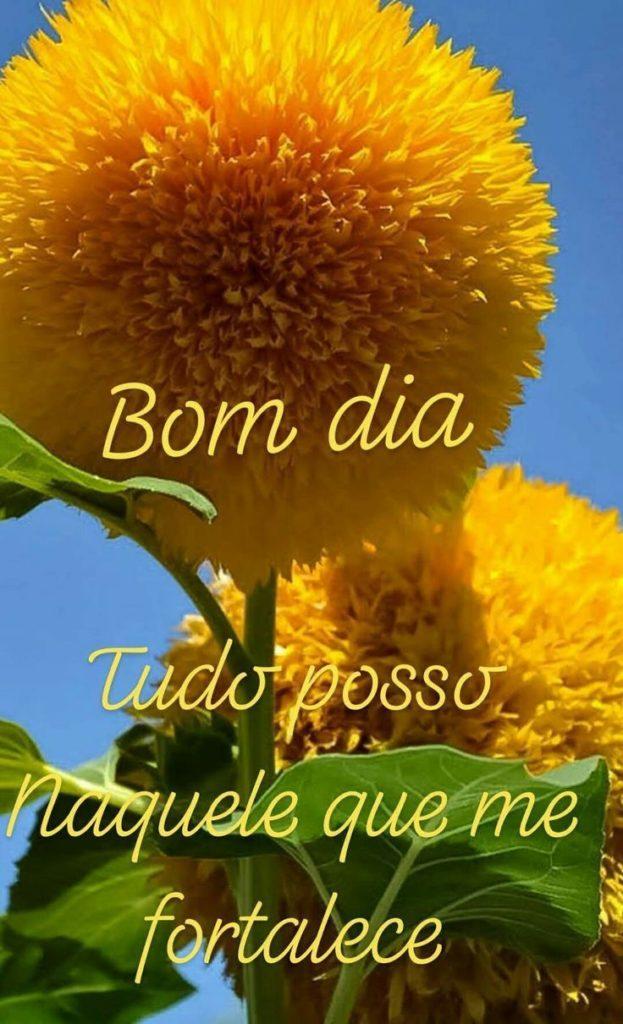 Bom Dia 08 de Maio de 2022 35
