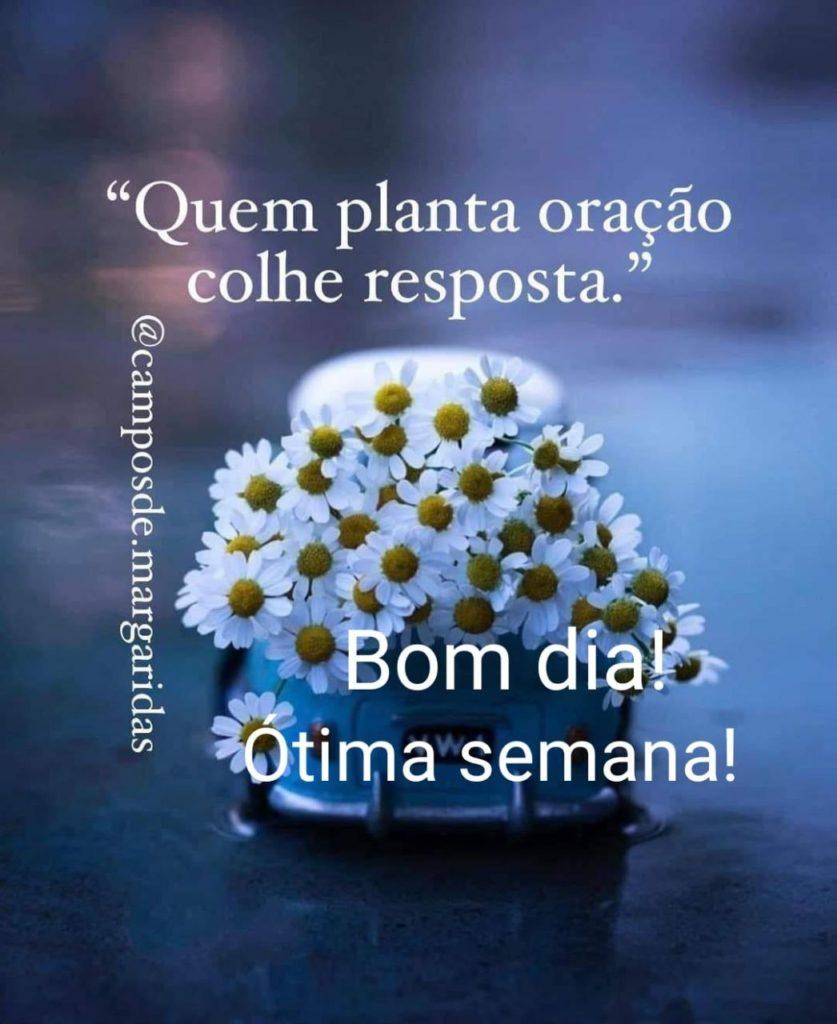Bom Dia 13 de Maio de 2022 25