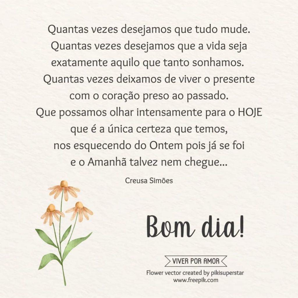 Bom Dia 18 de Maio de 2022 33