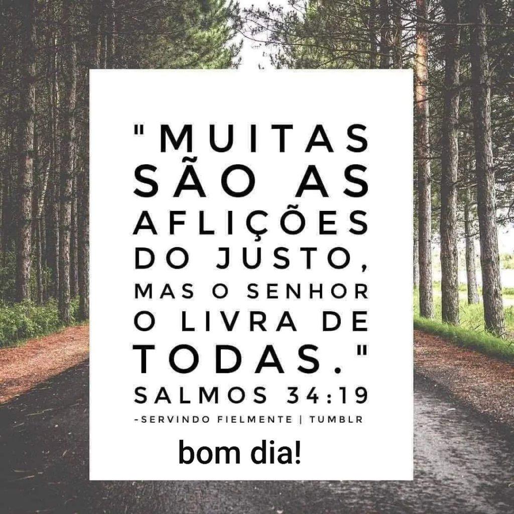 Bom Dia 17 de Maio de 2022 37