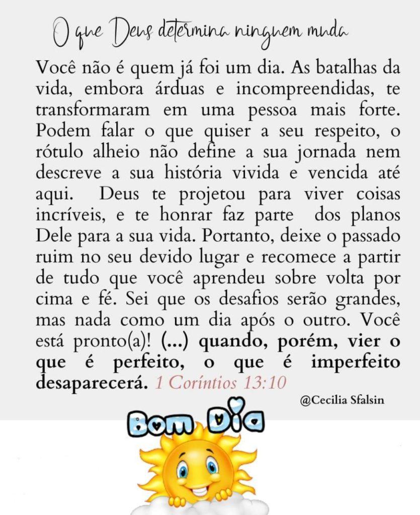 Bom Dia 22 de Maio de 2022 27
