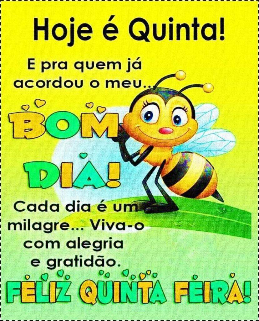 Bom Dia 29 de Maio de 2022 35