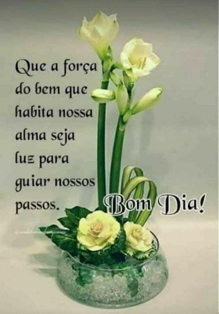Bom Dia 28 de Maio de 2022 29