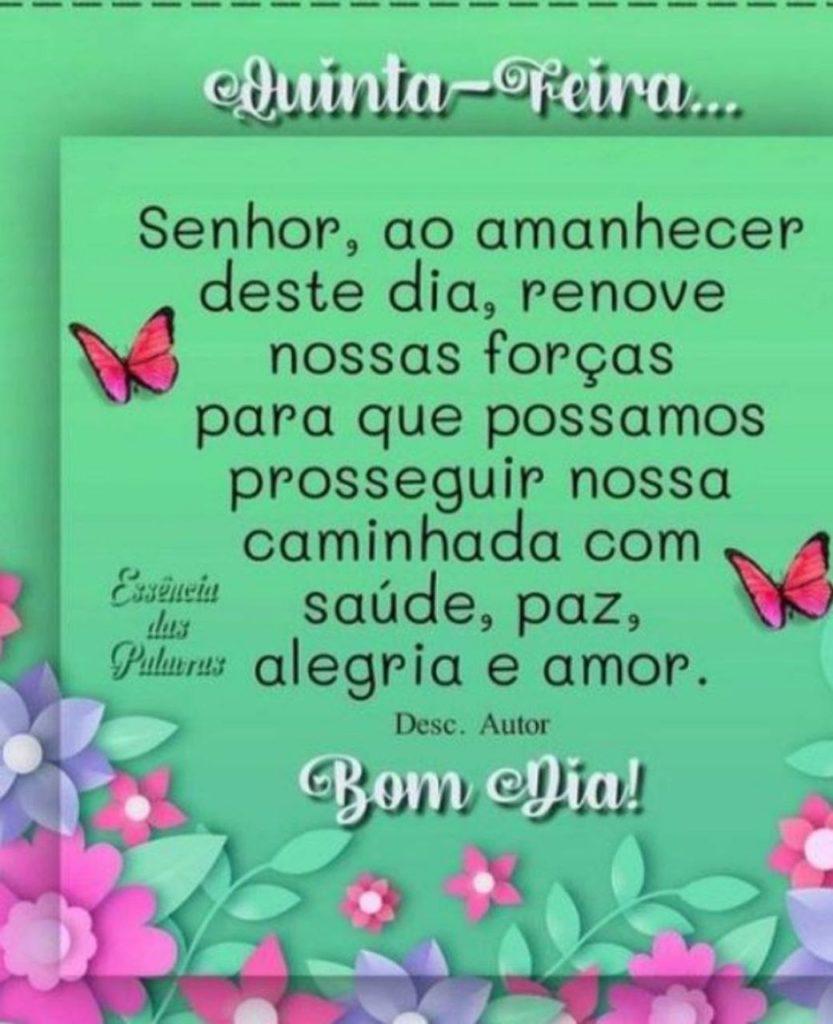 Bom Dia 28 de Maio de 2022 33