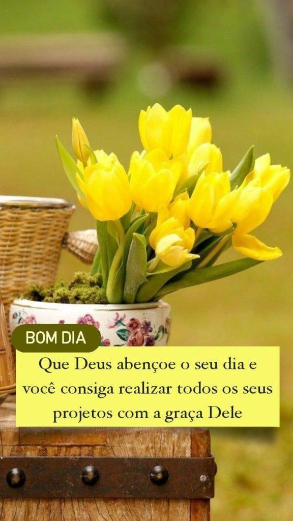 Bom Dia 27 de Maio de 2022 25