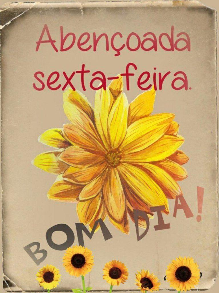 Bom Dia 01 de Junho de 2022 39