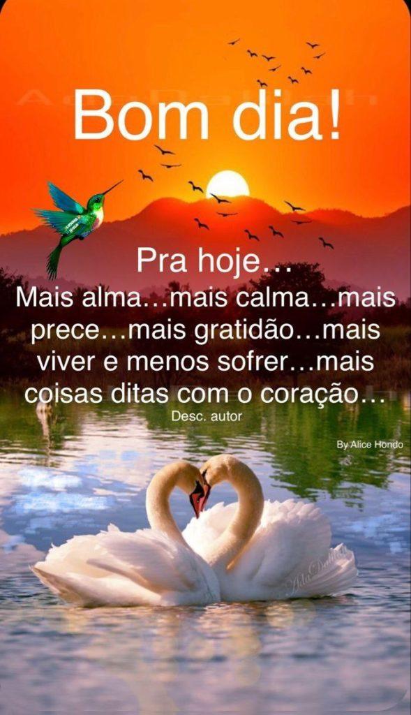 Bom Dia 04 de Junho de 2022 37