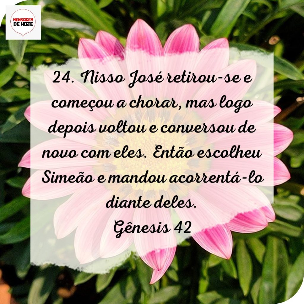 Salmos 05 de Julho de 2022 1