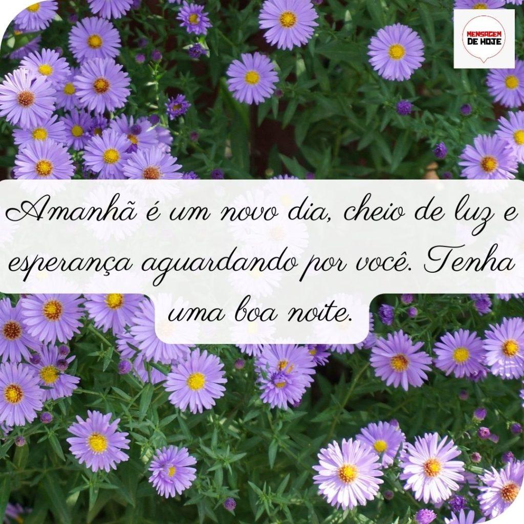 Boa Noite 27 de Junho de 2022 3