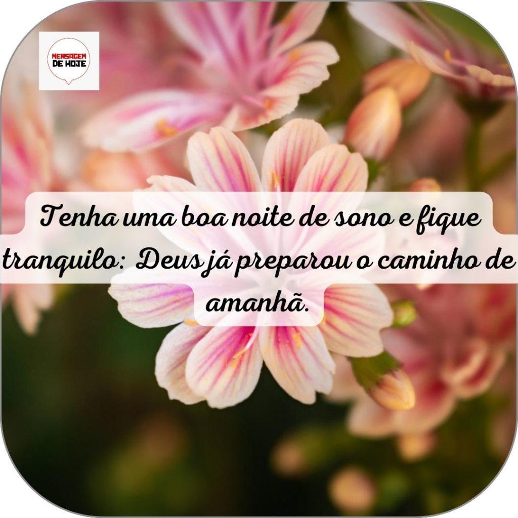 Boa Noite 19 de Junho de 2022 5