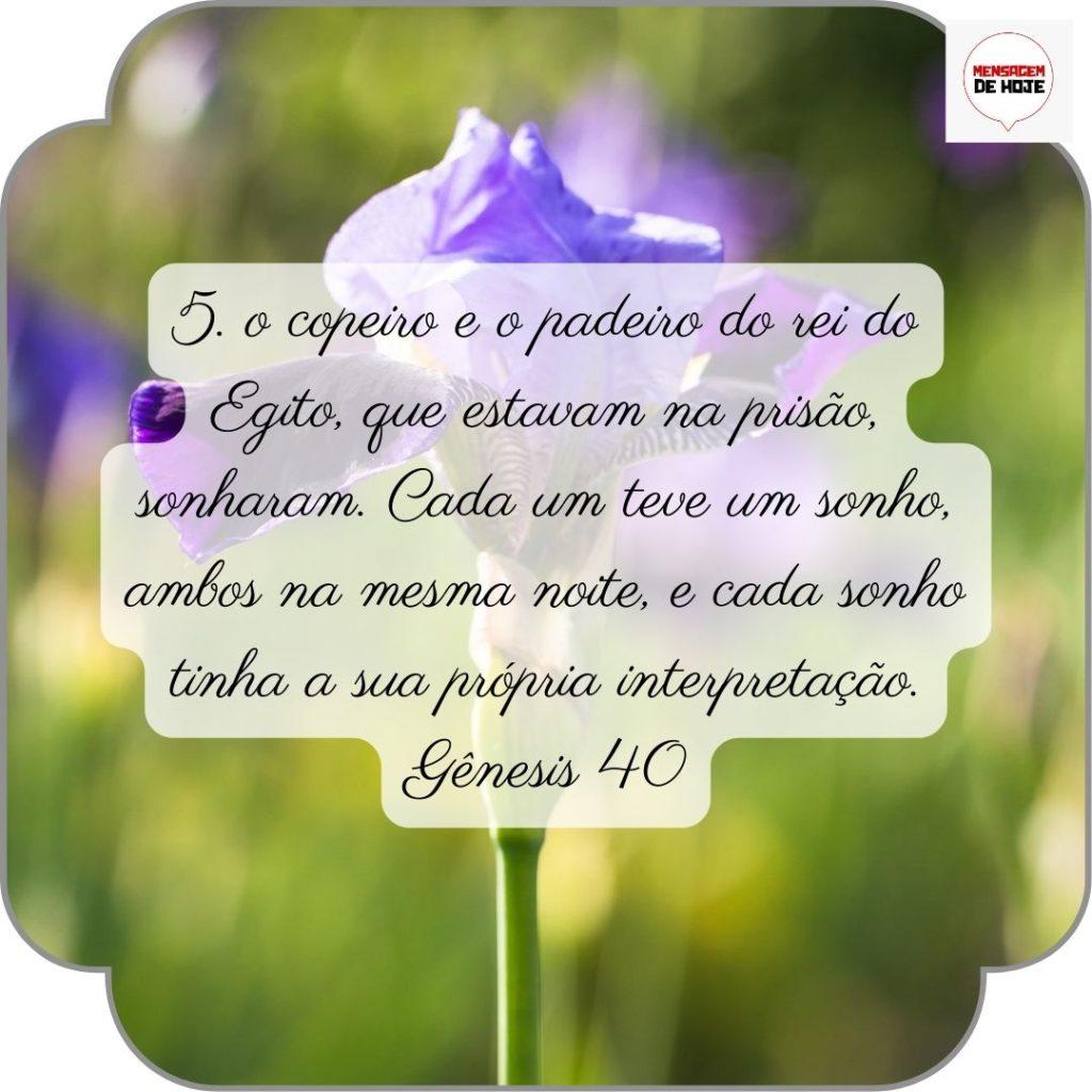 Salmos 28 de Junho de 2022 3