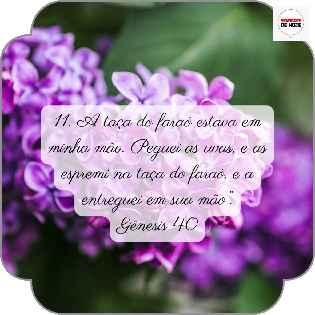 Salmos 28 de Junho de 2022 15