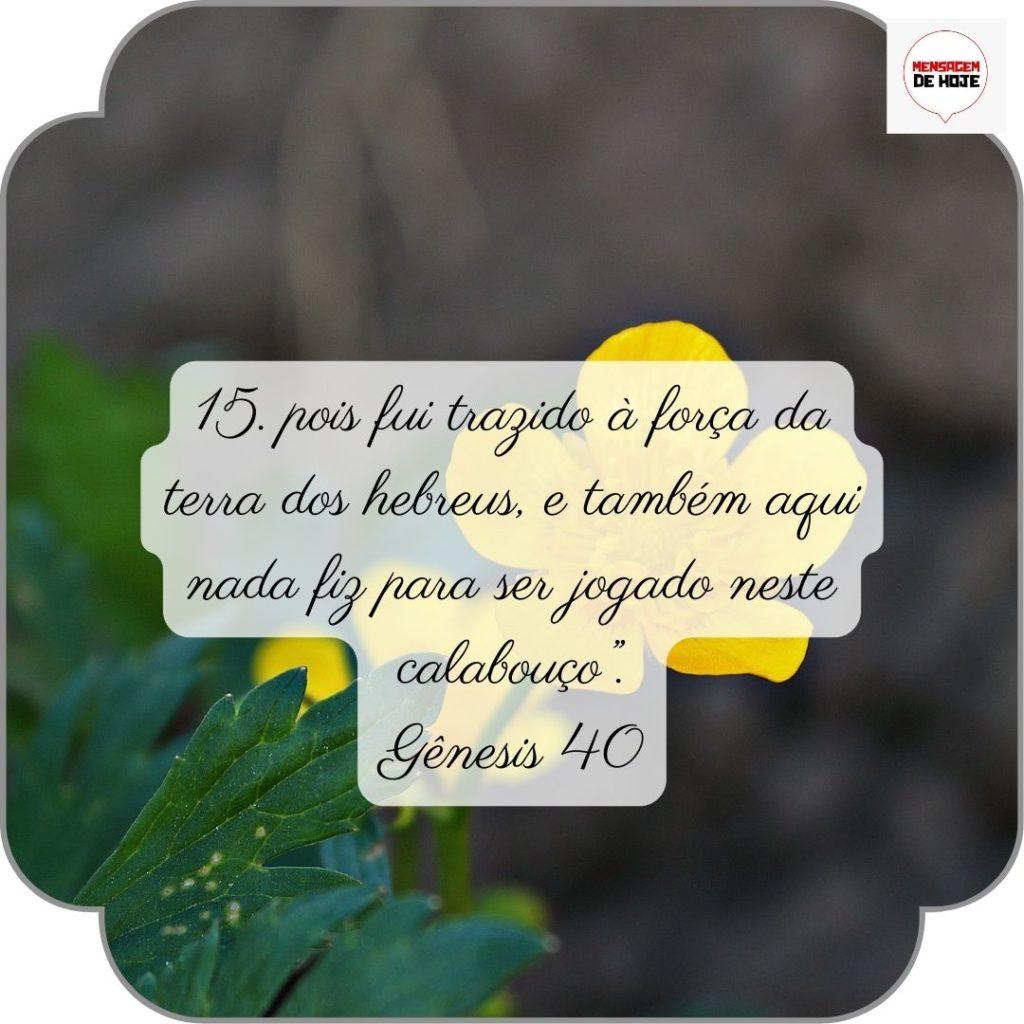 Salmos 29 de Junho de 2022 3
