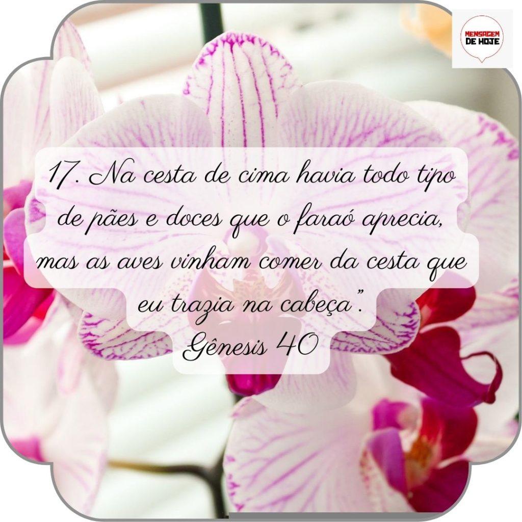 Salmos 29 de Junho de 2022 7