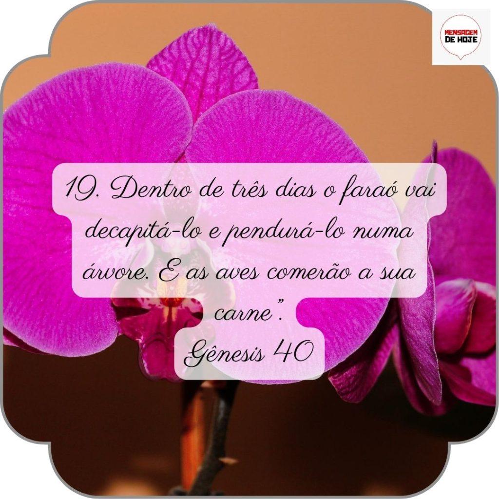 Salmos 29 de Junho de 2022 11