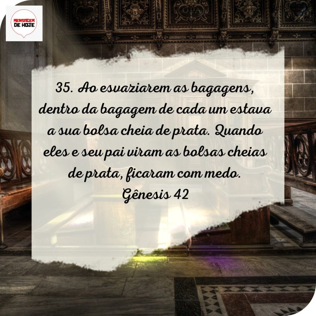 Salmos 06 de Julho de 2022 3